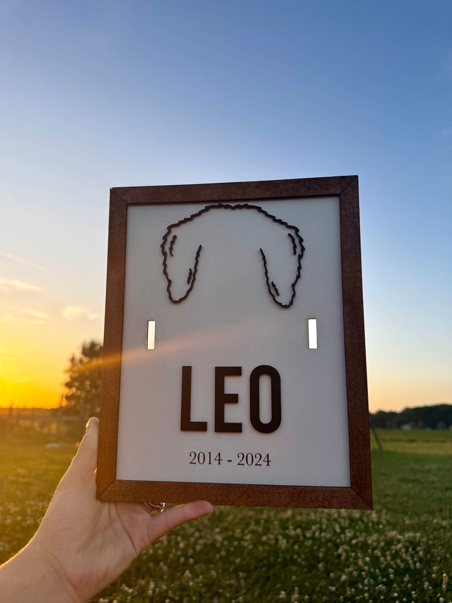 Dog Collar Frame Memorial