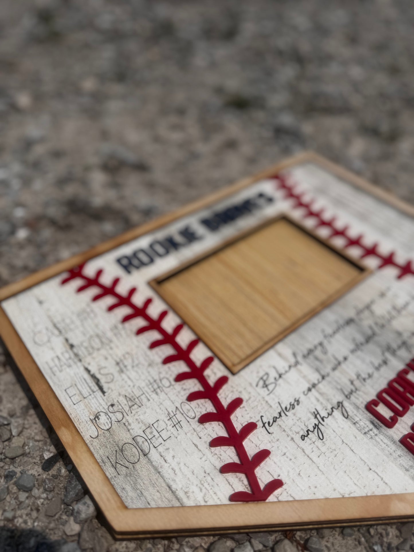 Baseball/ Softball Coach Frame