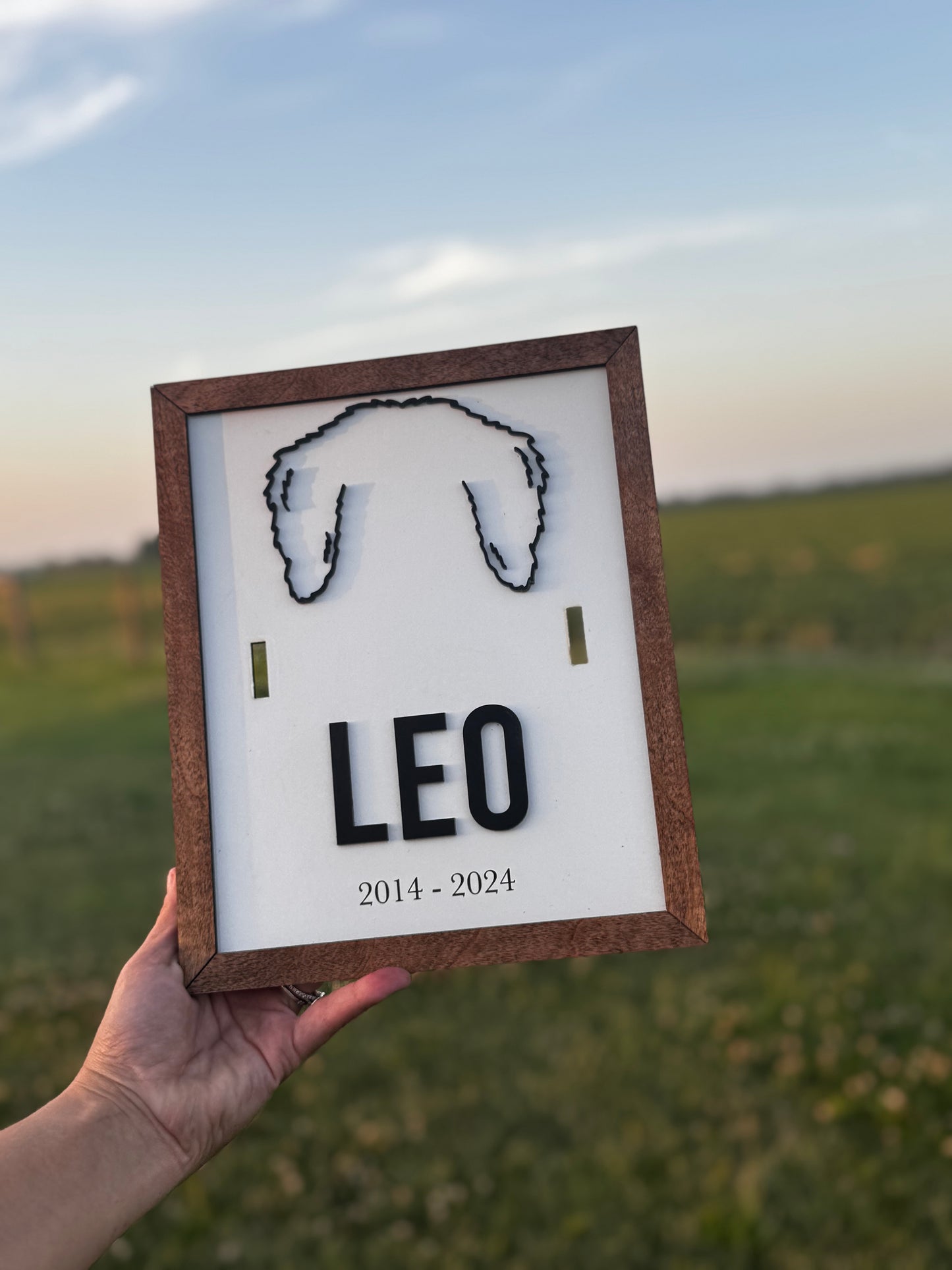 Dog Collar Frame Memorial